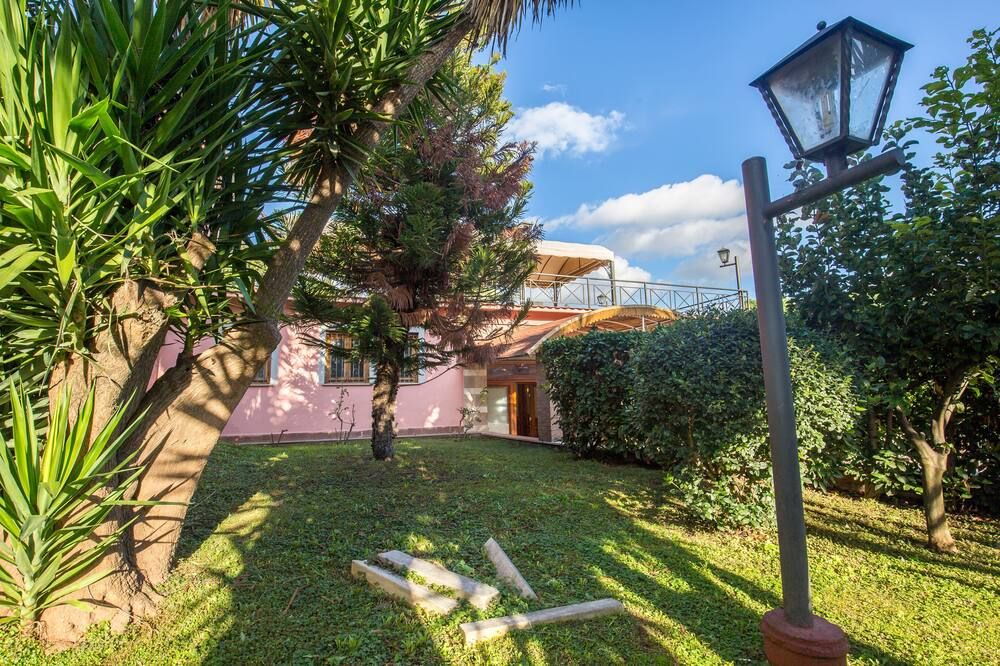 المظهر الخارجي