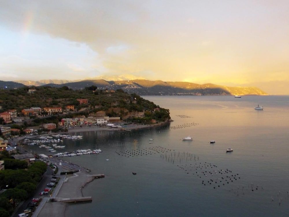 المظهر الخارجي