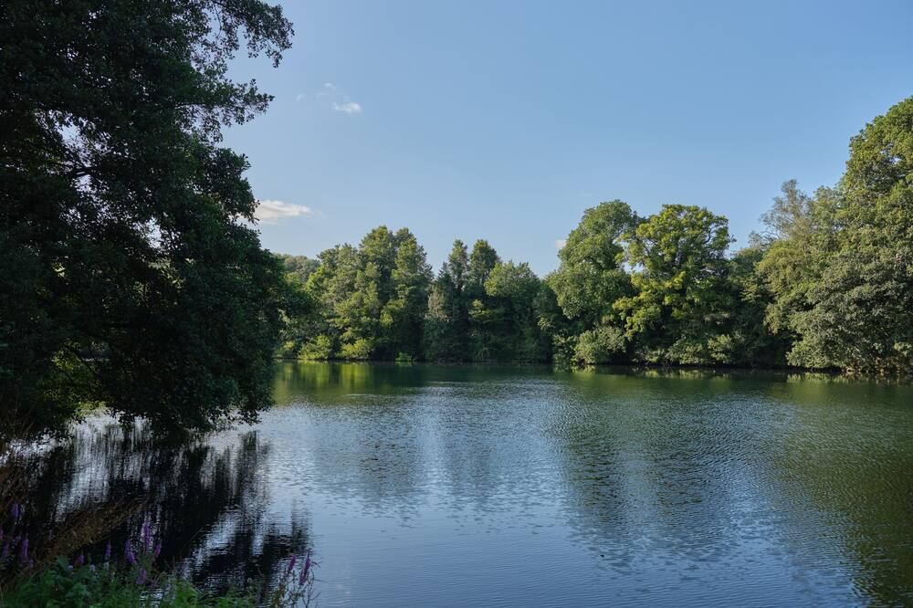 المظهر الخارجي