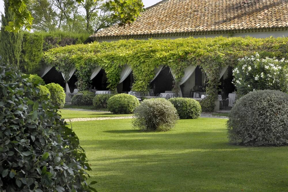 المظهر الخارجي