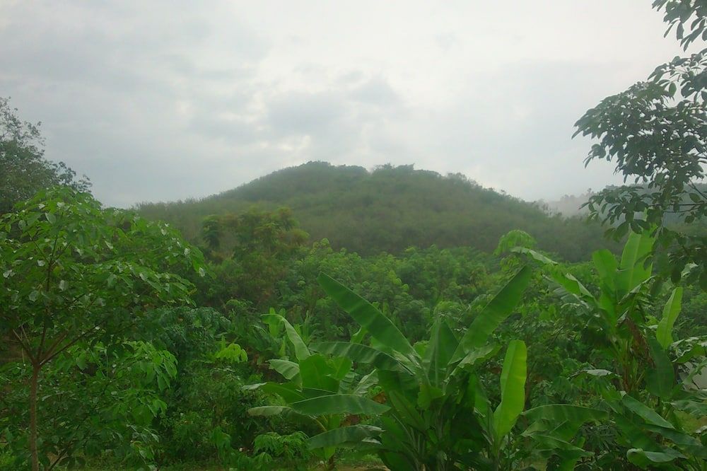 المظهر الخارجي