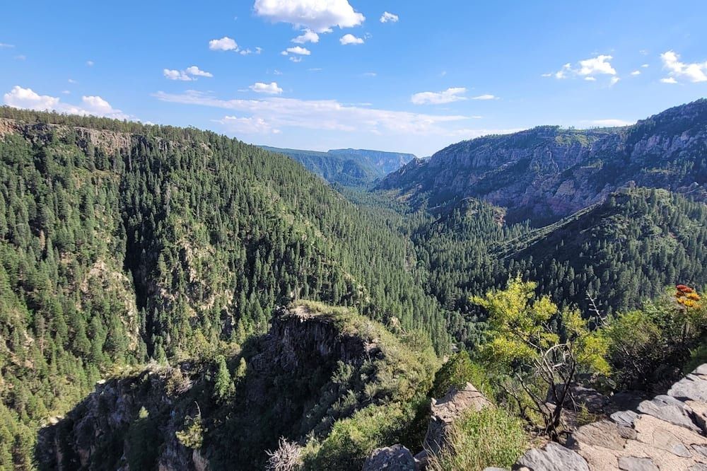 المظهر الخارجي