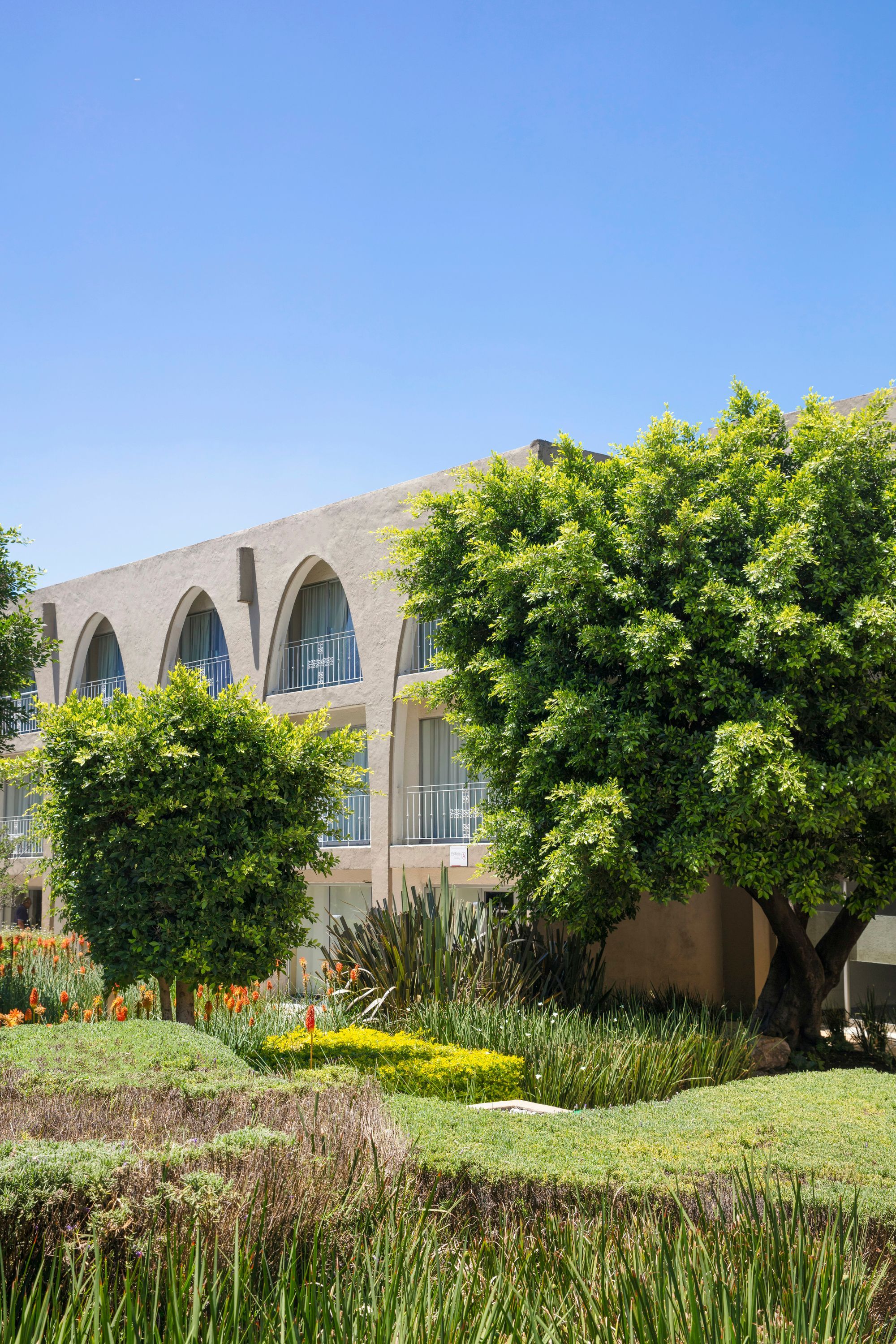 المظهر الخارجي