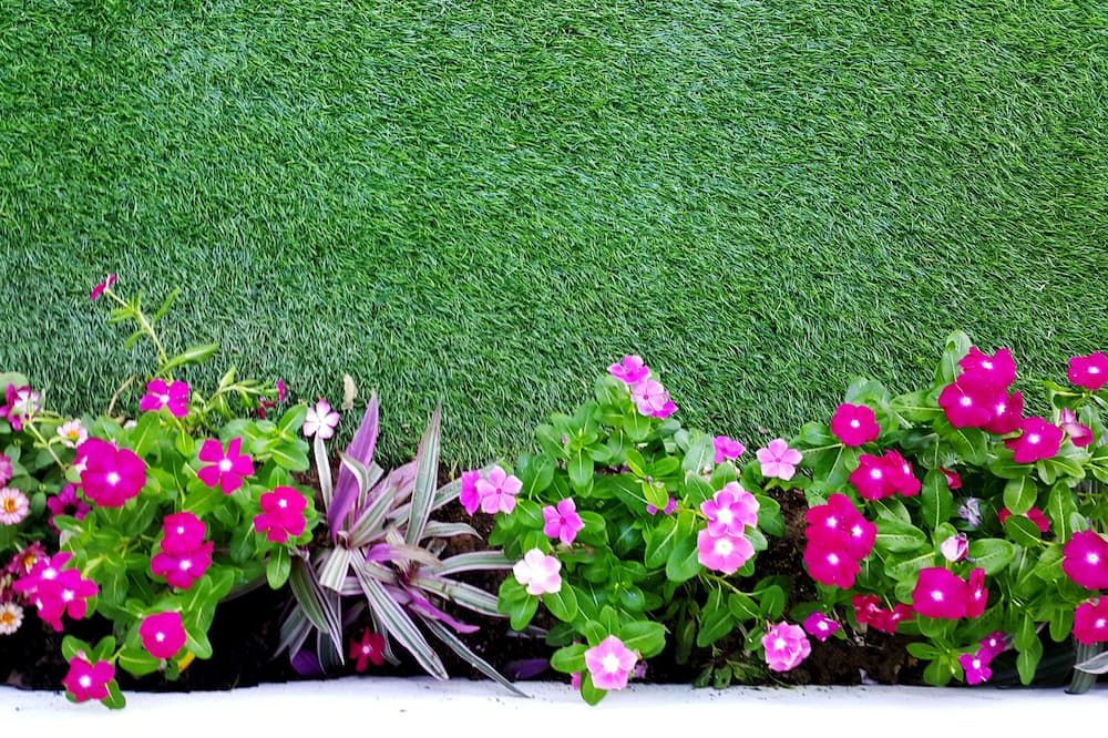 المظهر الخارجي