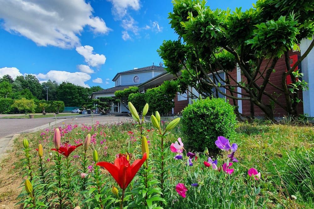 المظهر الخارجي