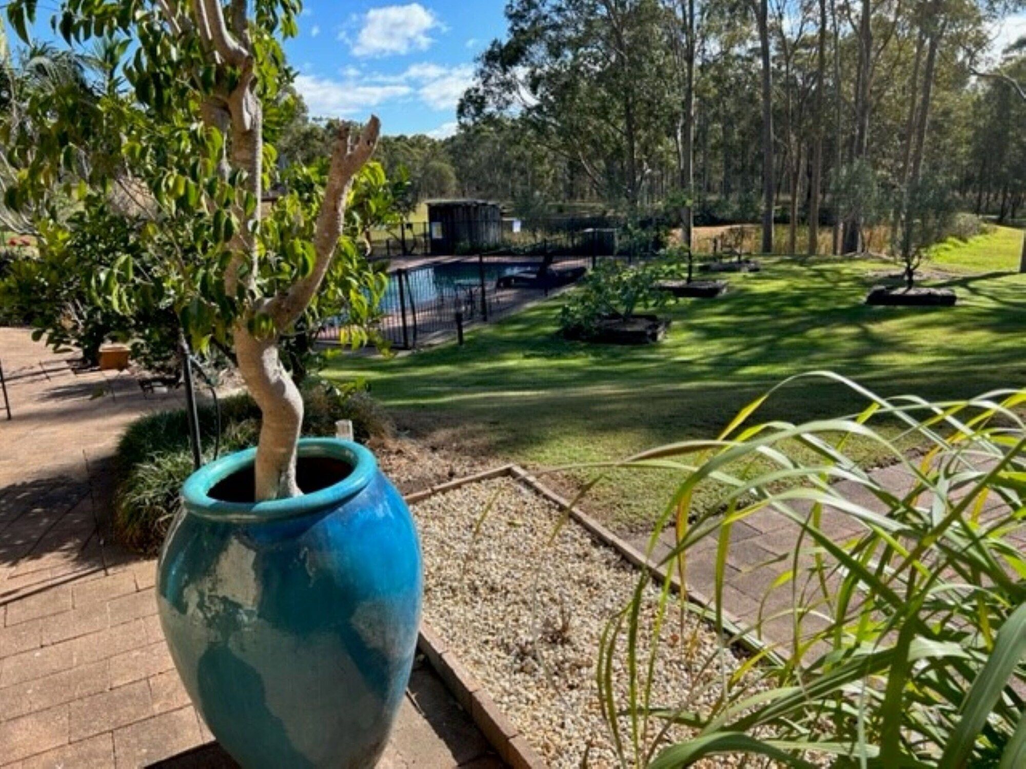 المظهر الخارجي