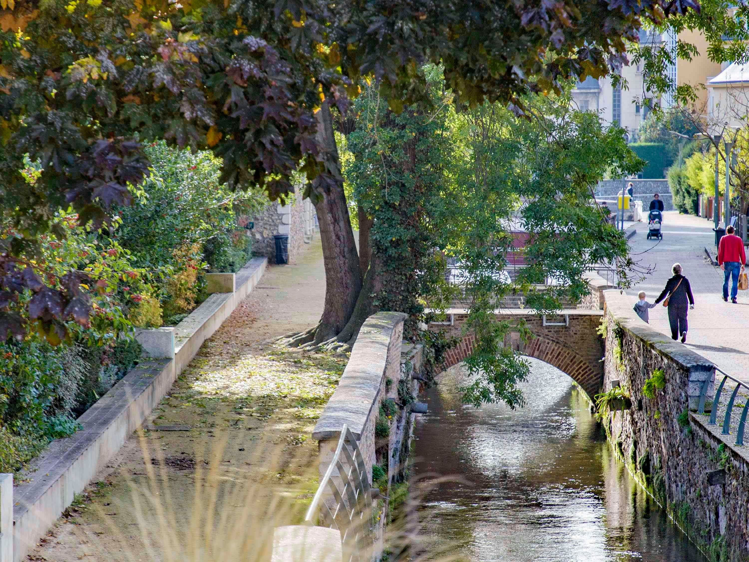 المظهر الخارجي