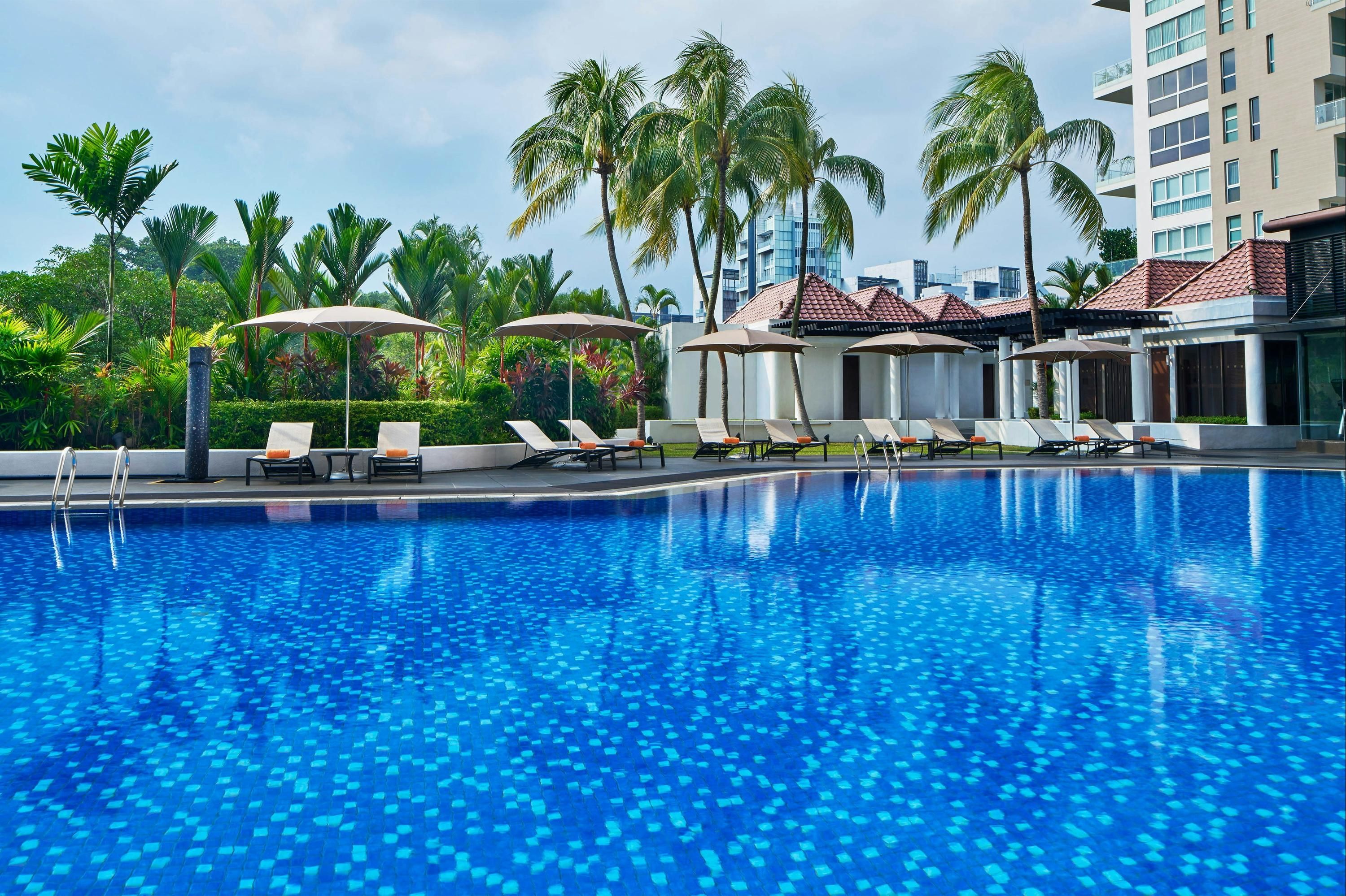 حوض السباحة