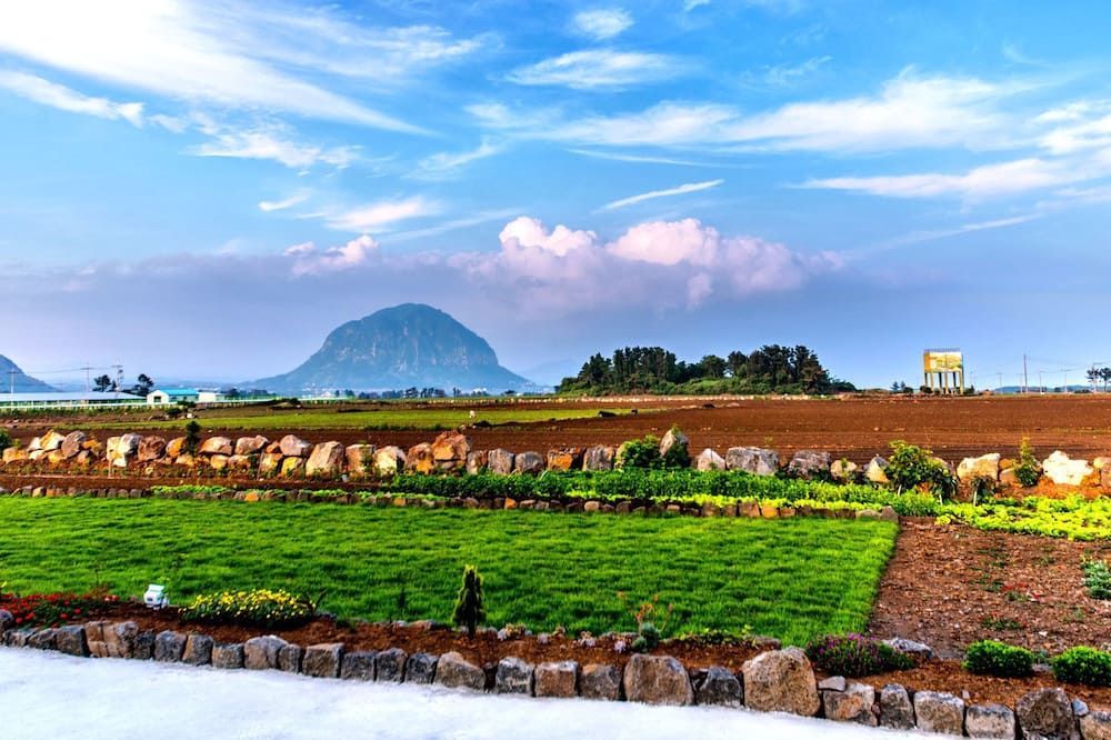 المظهر الخارجي