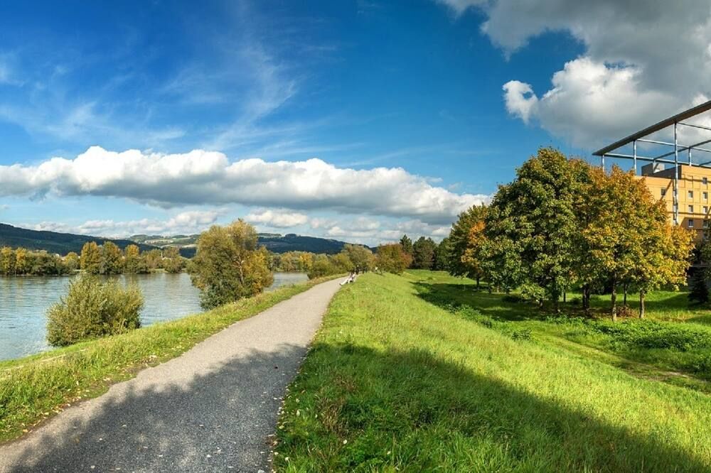 المظهر الخارجي