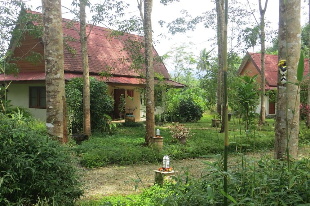 المظهر الخارجي