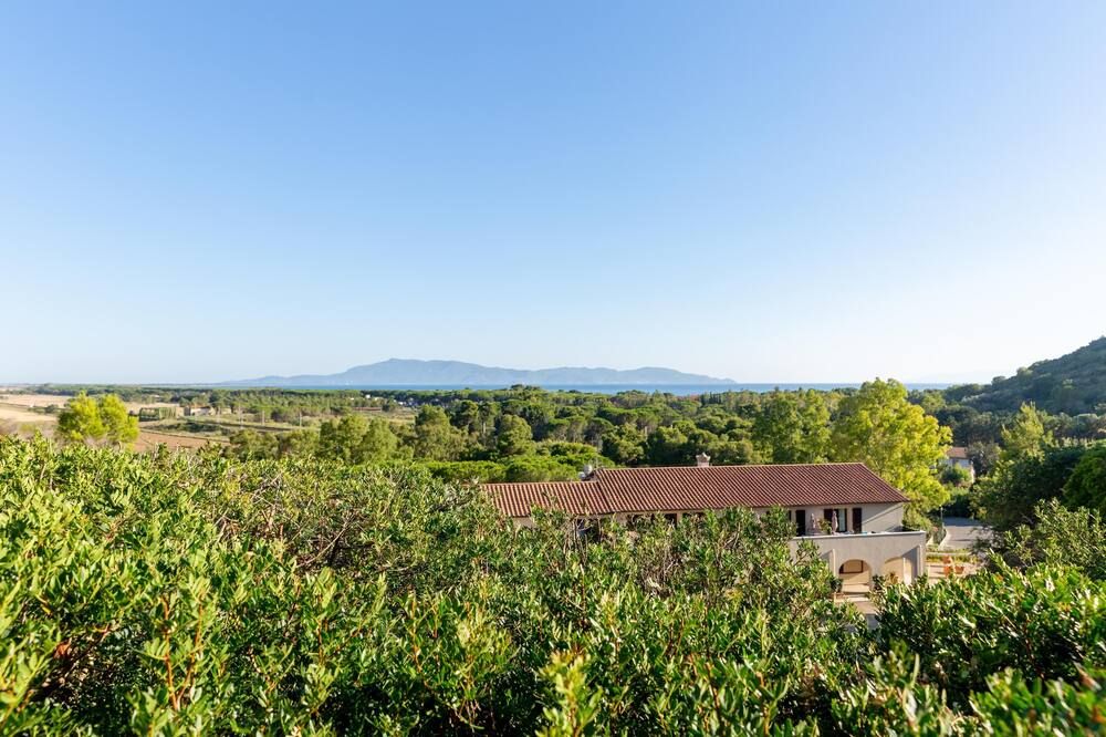 المظهر الخارجي