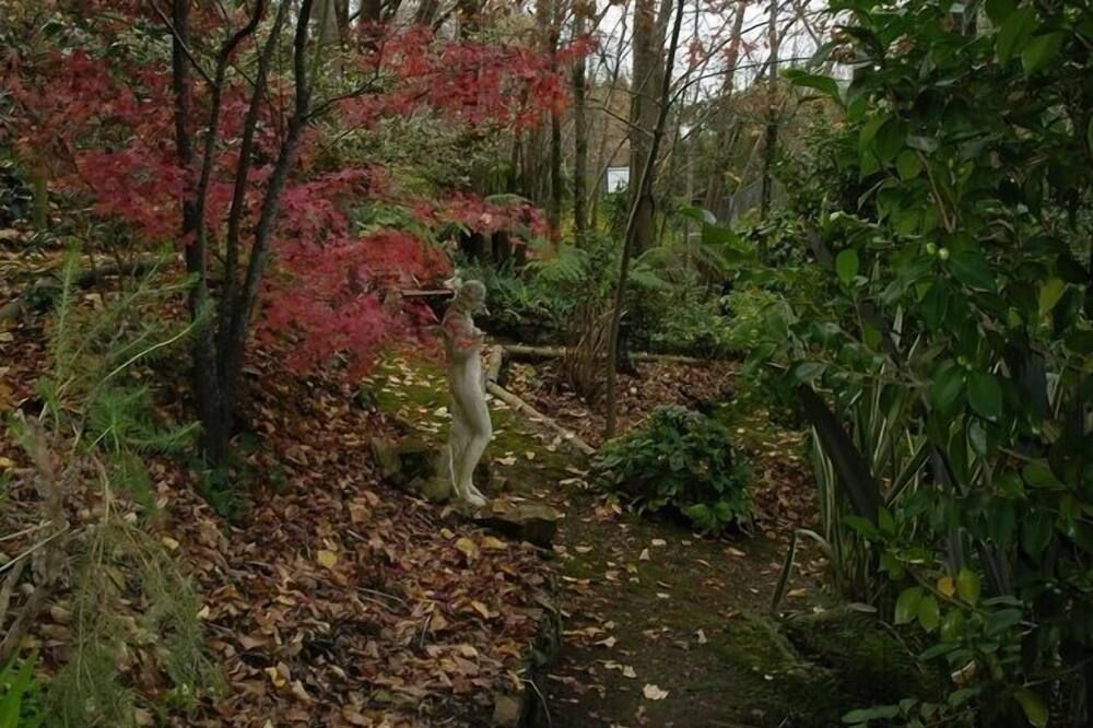المظهر الخارجي