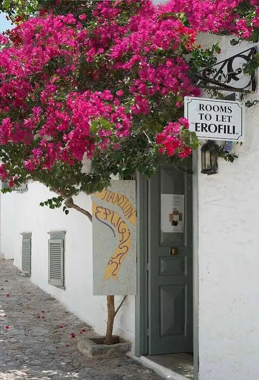 المظهر الخارجي