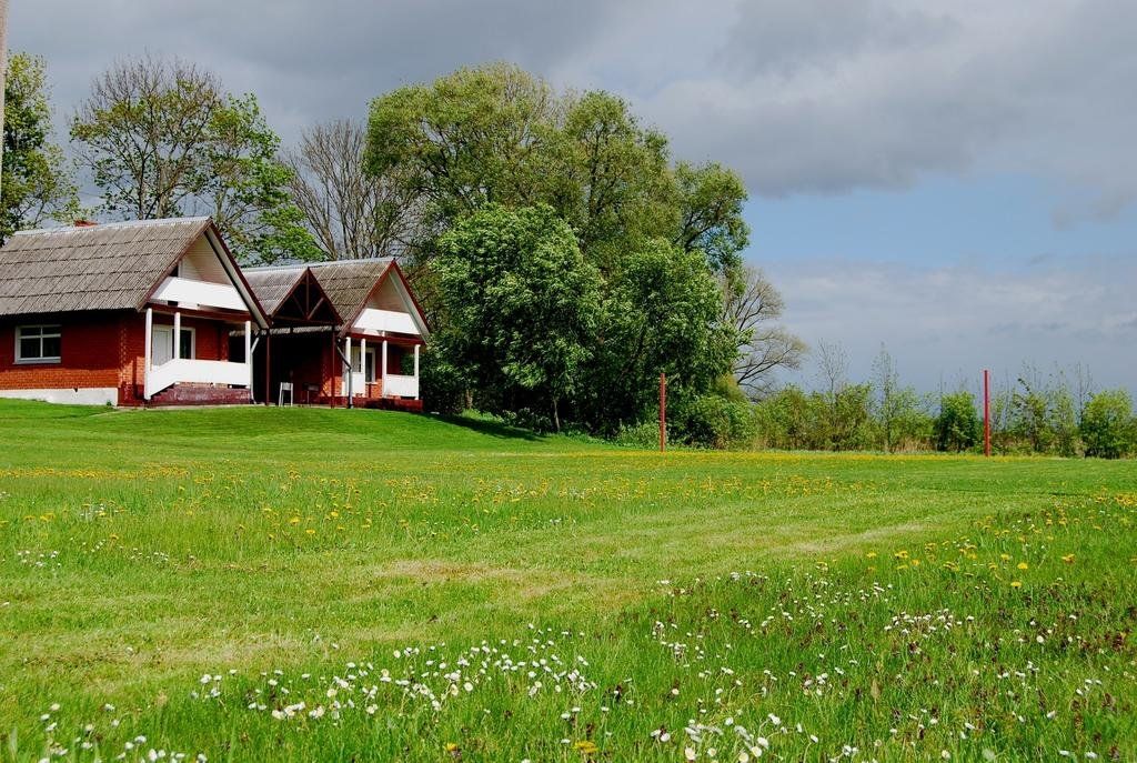 المظهر الخارجي