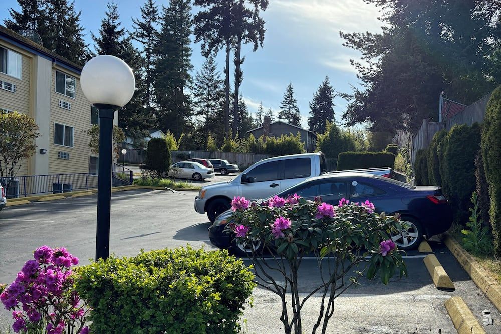 المظهر الخارجي