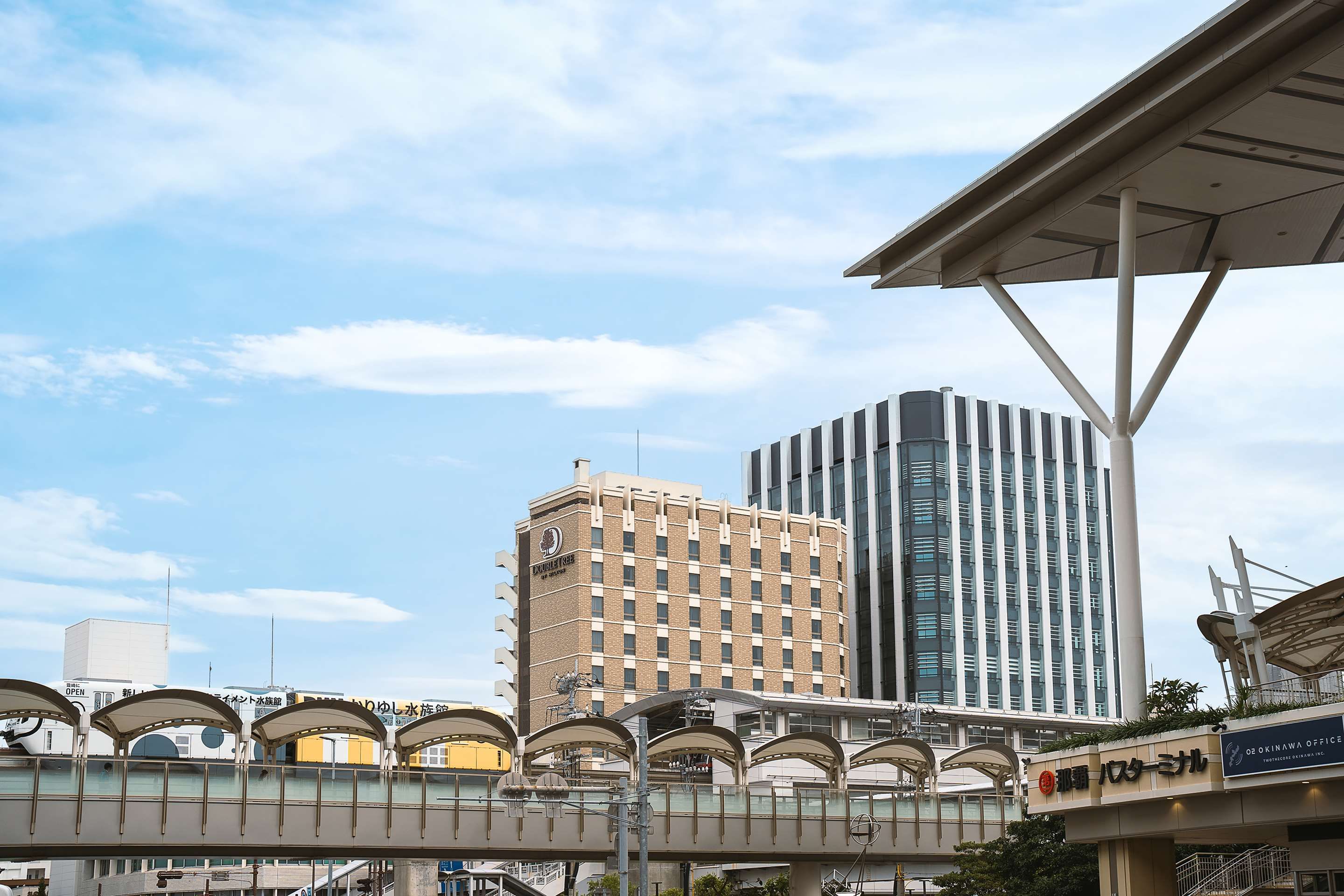 المظهر الخارجي