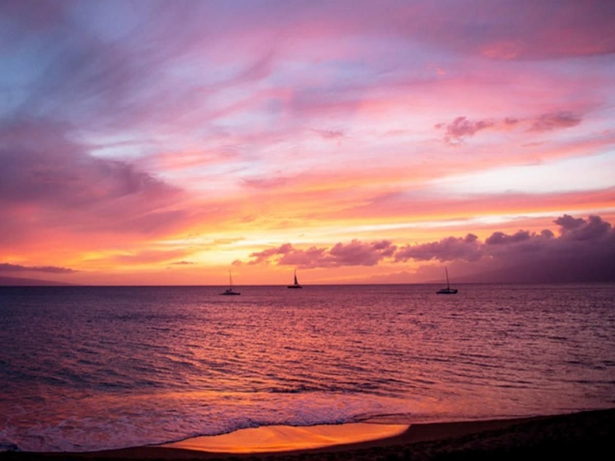 المظهر الخارجي