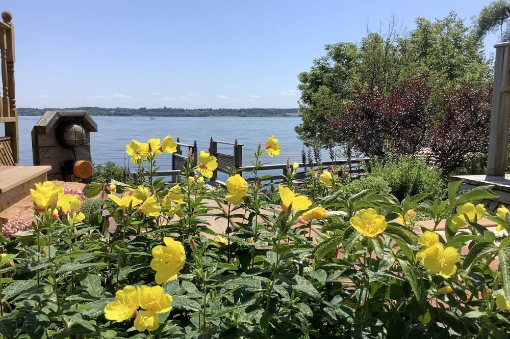 المظهر الخارجي