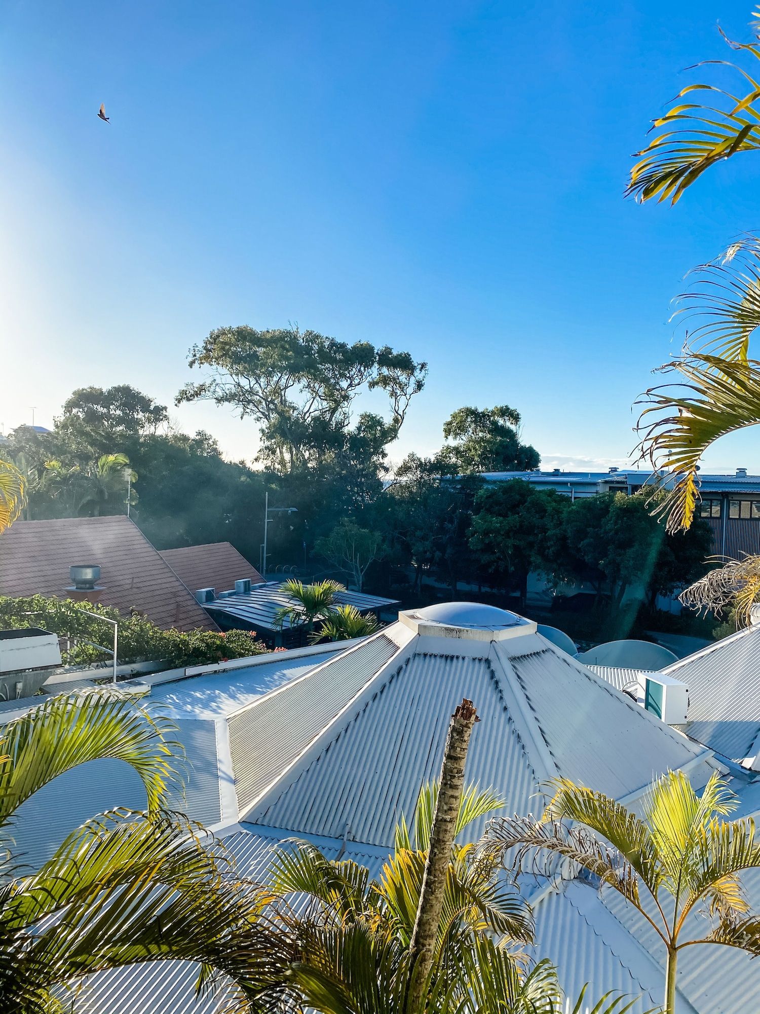 المظهر الخارجي