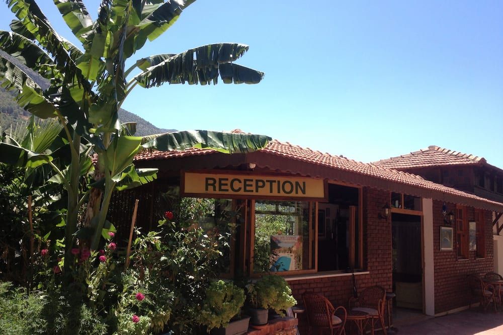 المظهر الخارجي