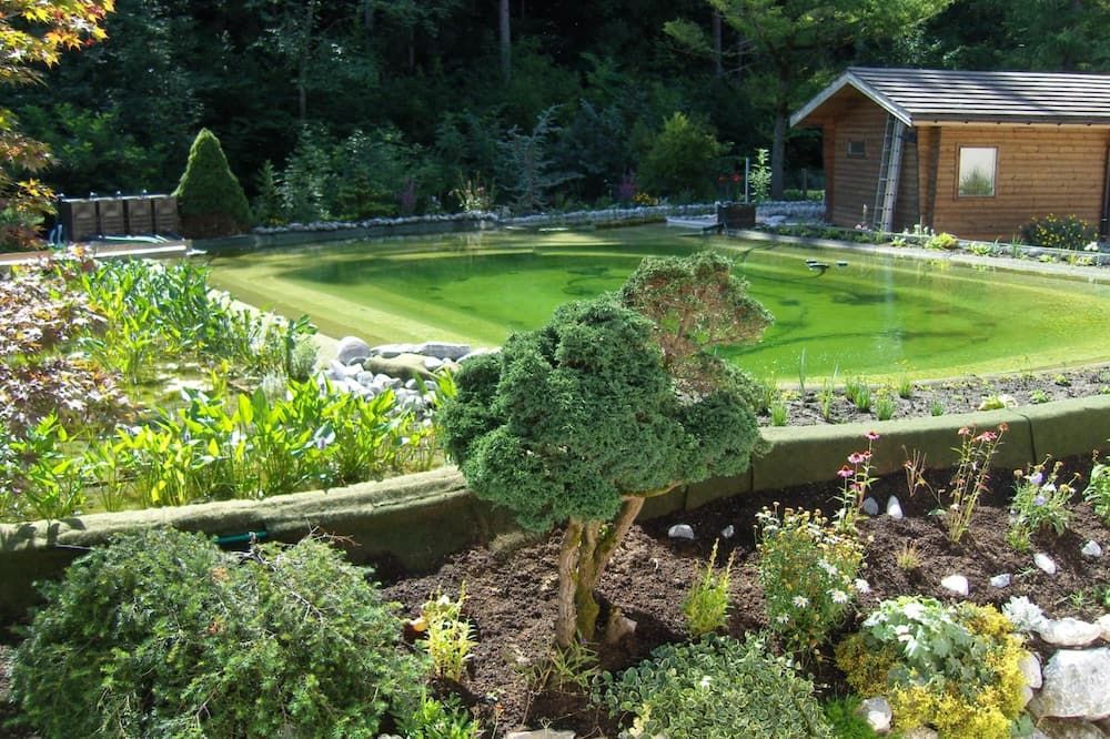 المظهر الخارجي