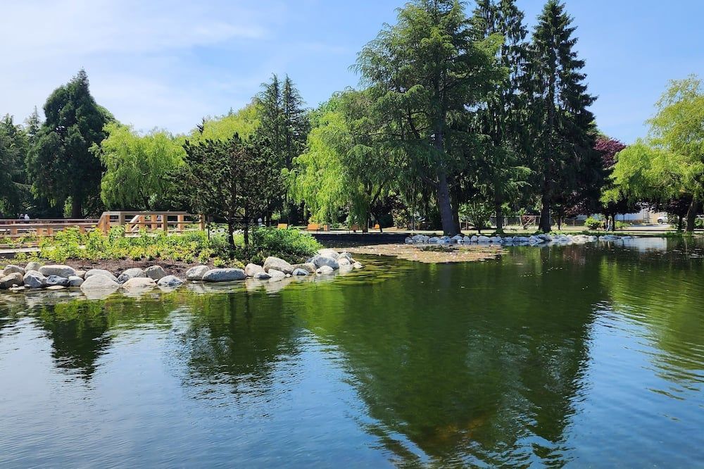 المظهر الخارجي