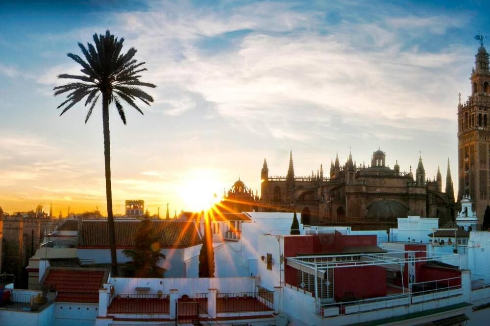 المظهر الخارجي