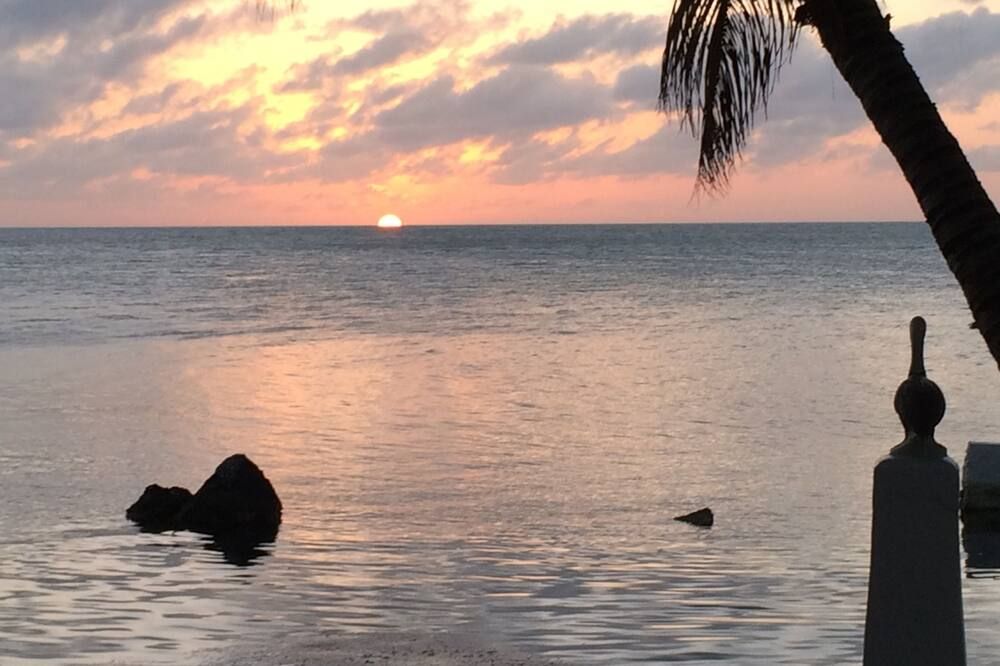 آخر صورة
