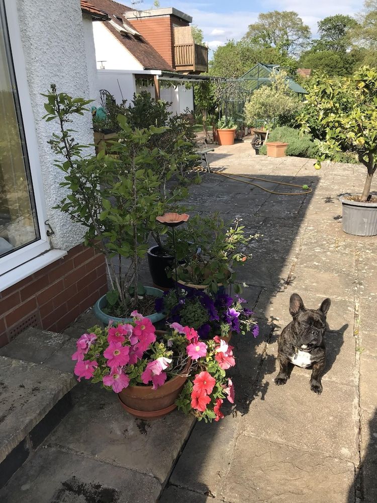 المظهر الخارجي