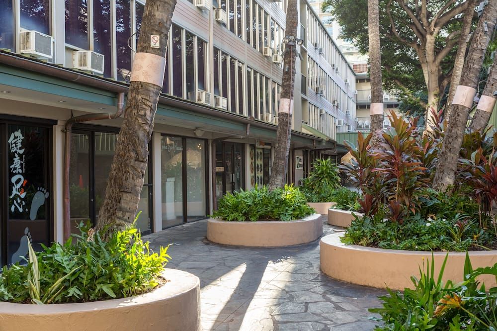 المظهر الخارجي