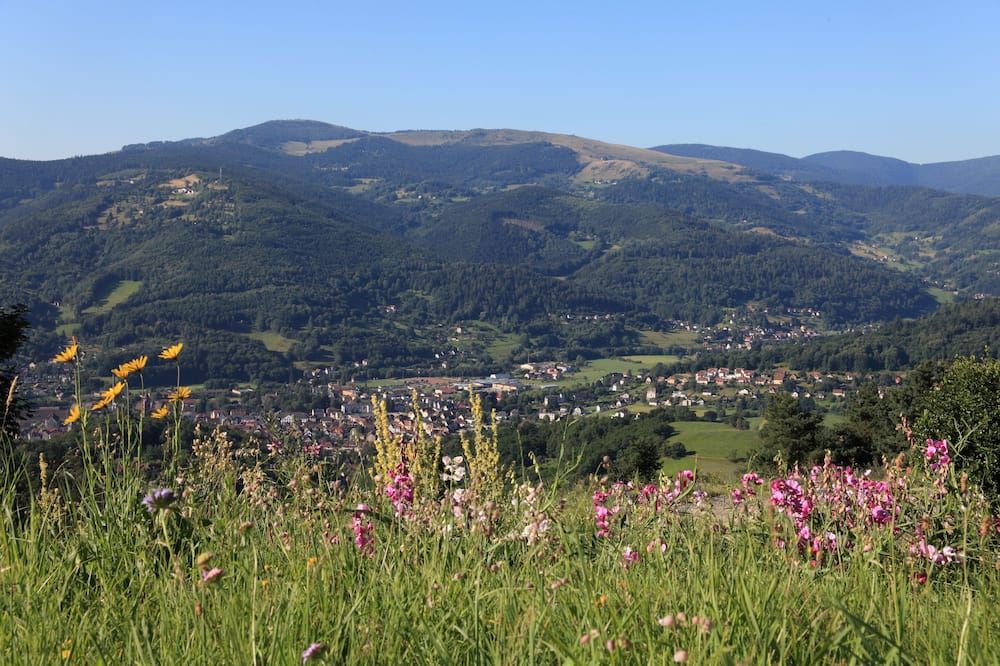 المظهر الخارجي