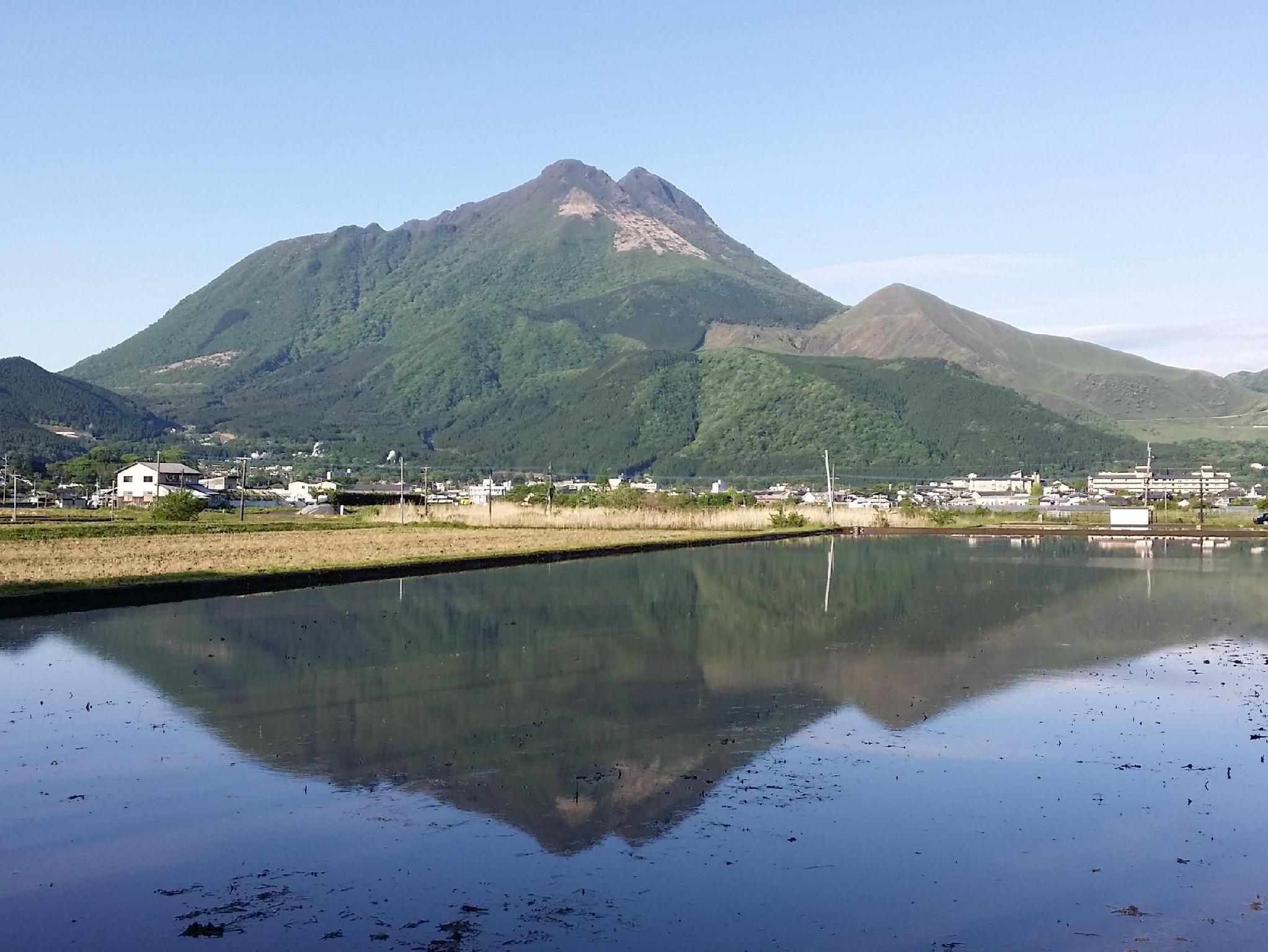 المظهر الخارجي