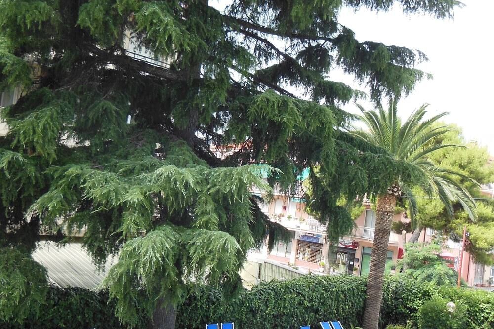 المظهر الخارجي