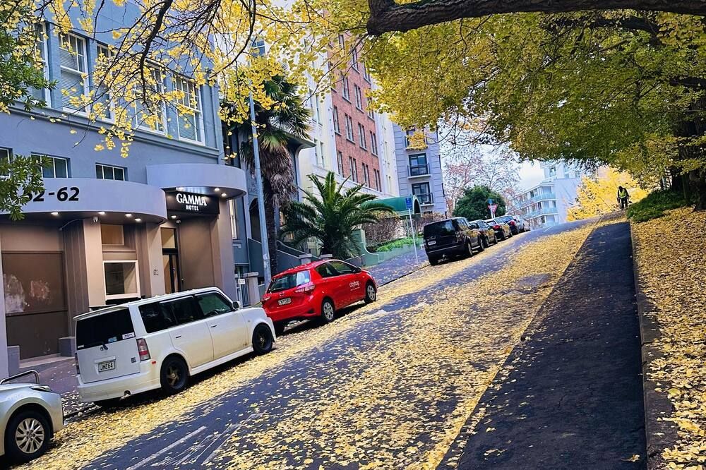 المظهر الخارجي