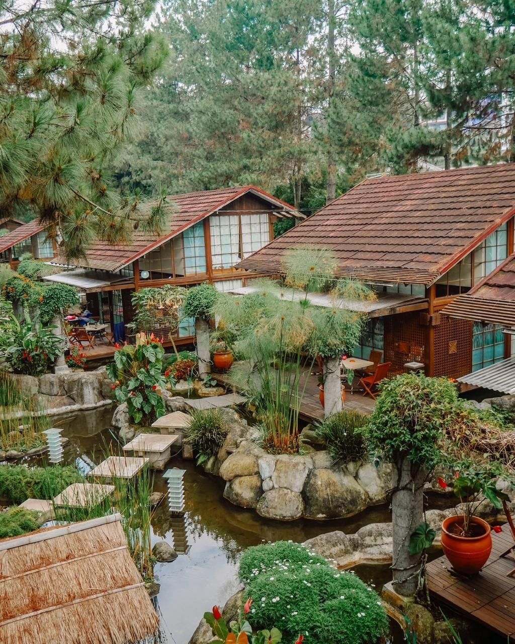 المظهر الخارجي