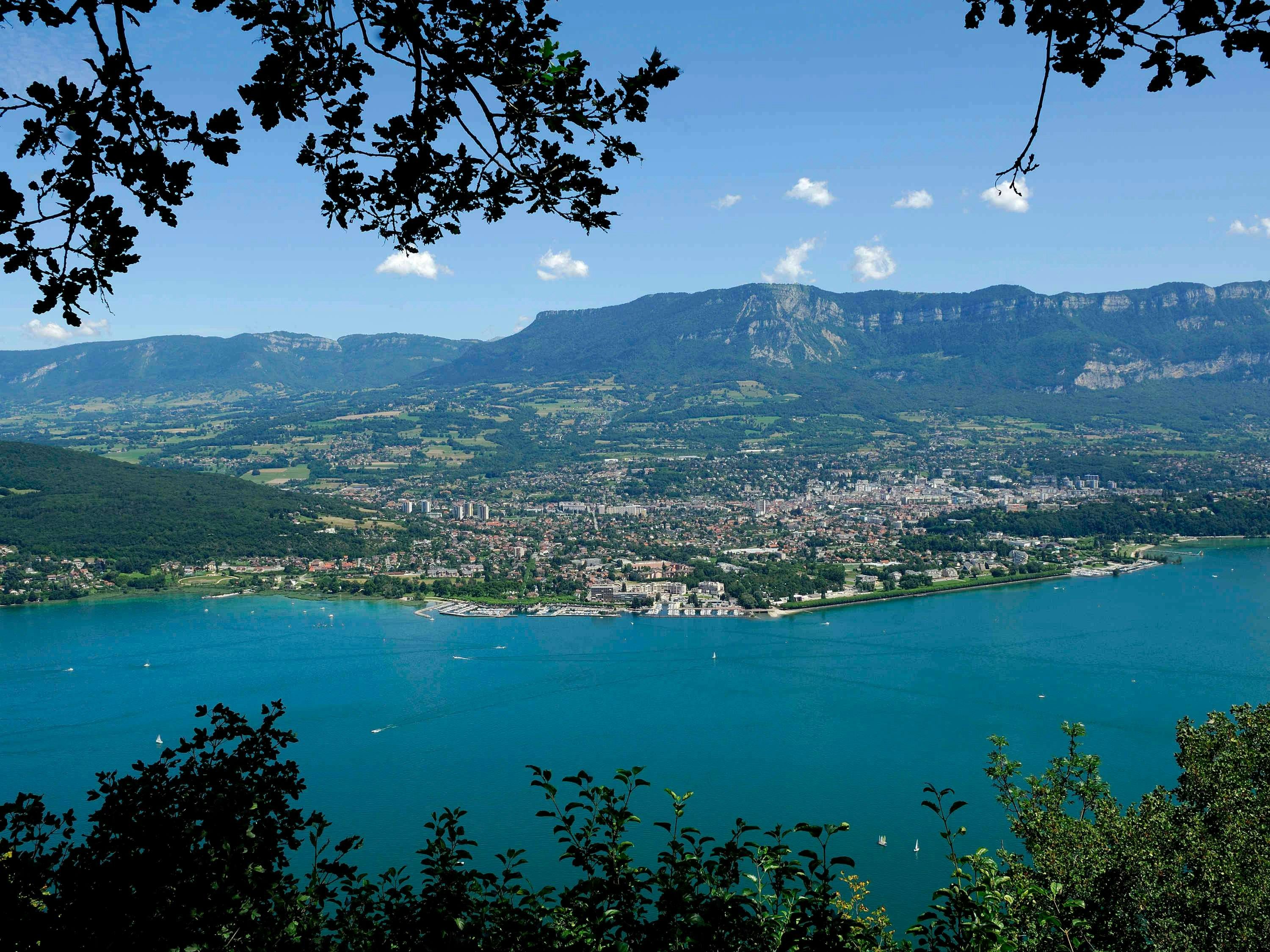 المظهر الخارجي