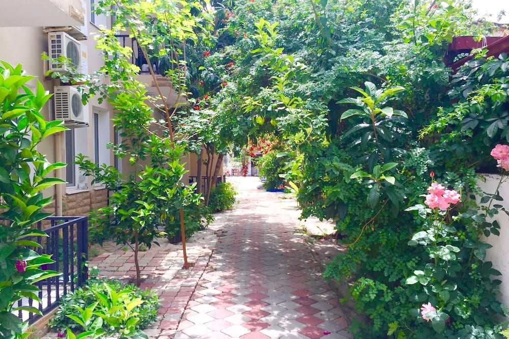 المظهر الخارجي