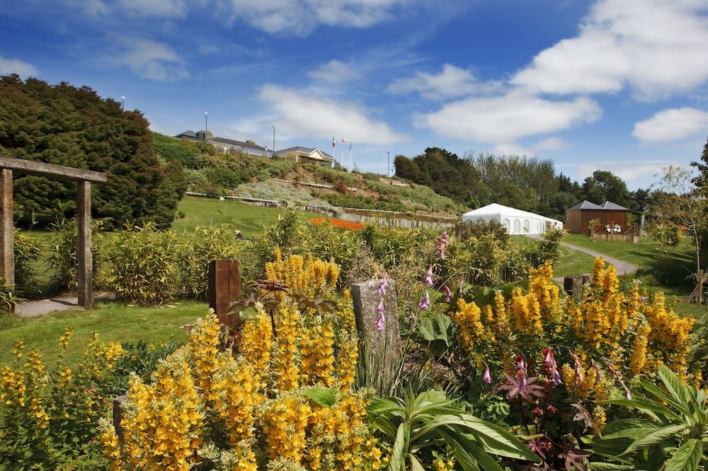 المظهر الخارجي