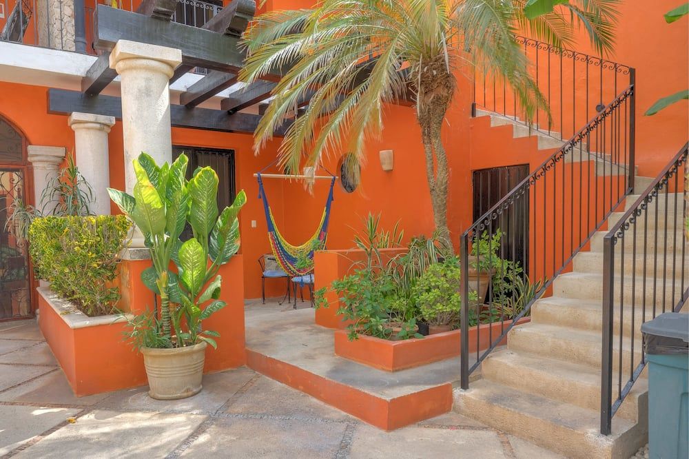 المظهر الخارجي