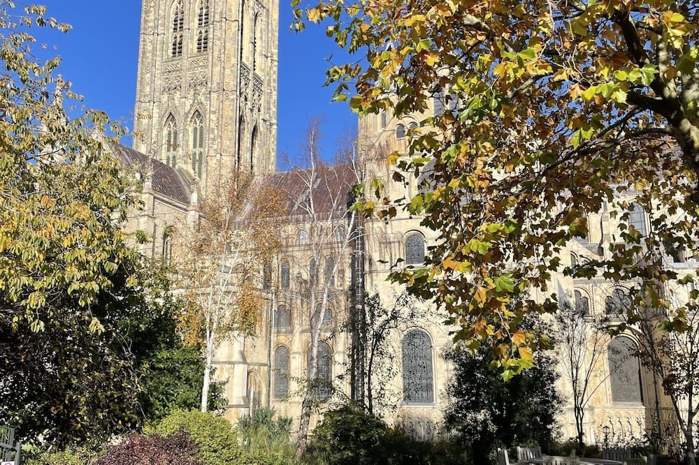 المظهر الخارجي