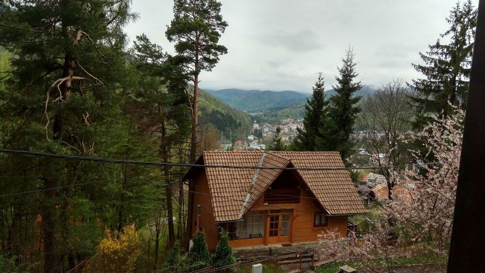 المظهر الخارجي