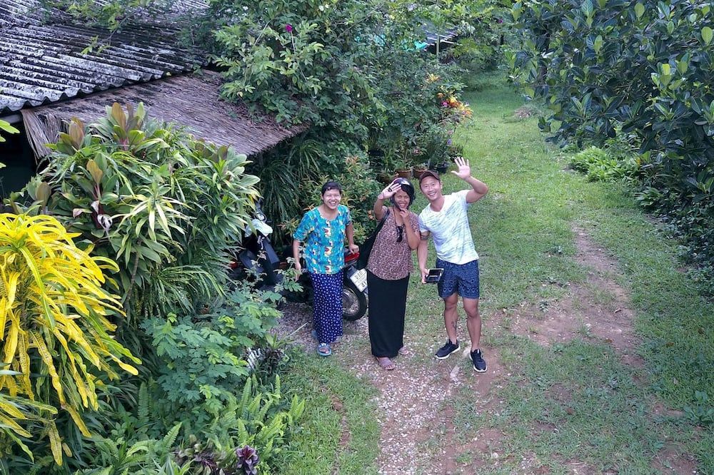 المظهر الخارجي