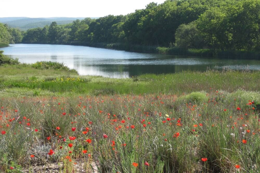 المظهر الخارجي