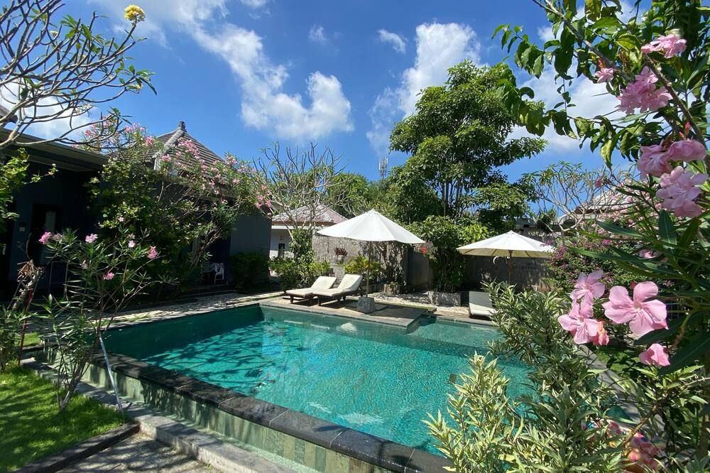 حوض السباحة صورة