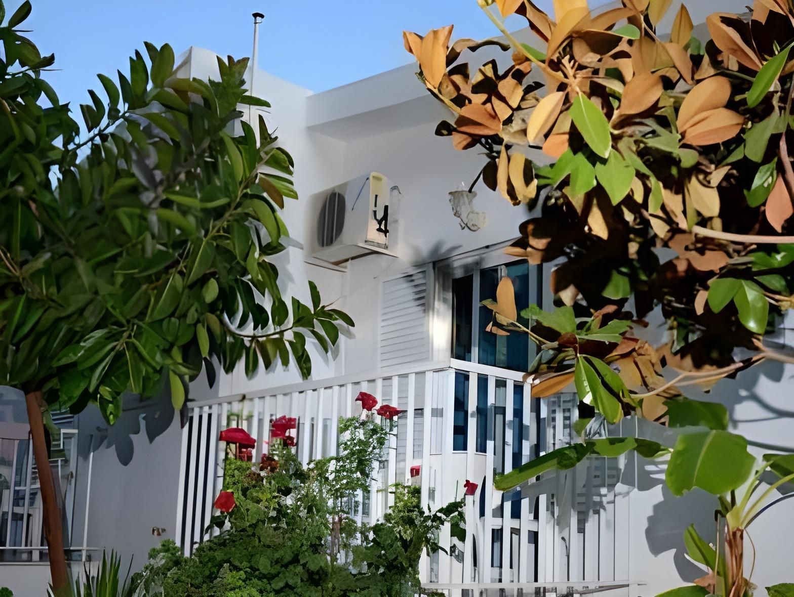 المظهر الخارجي