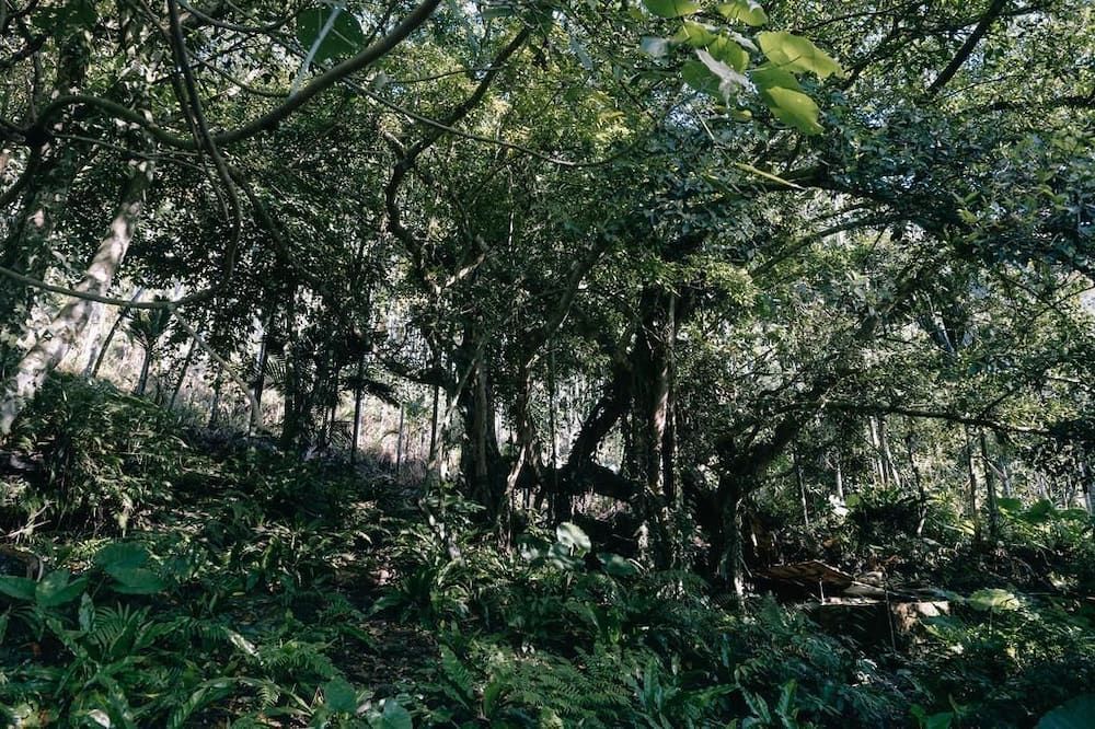 المظهر الخارجي