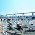 آخر