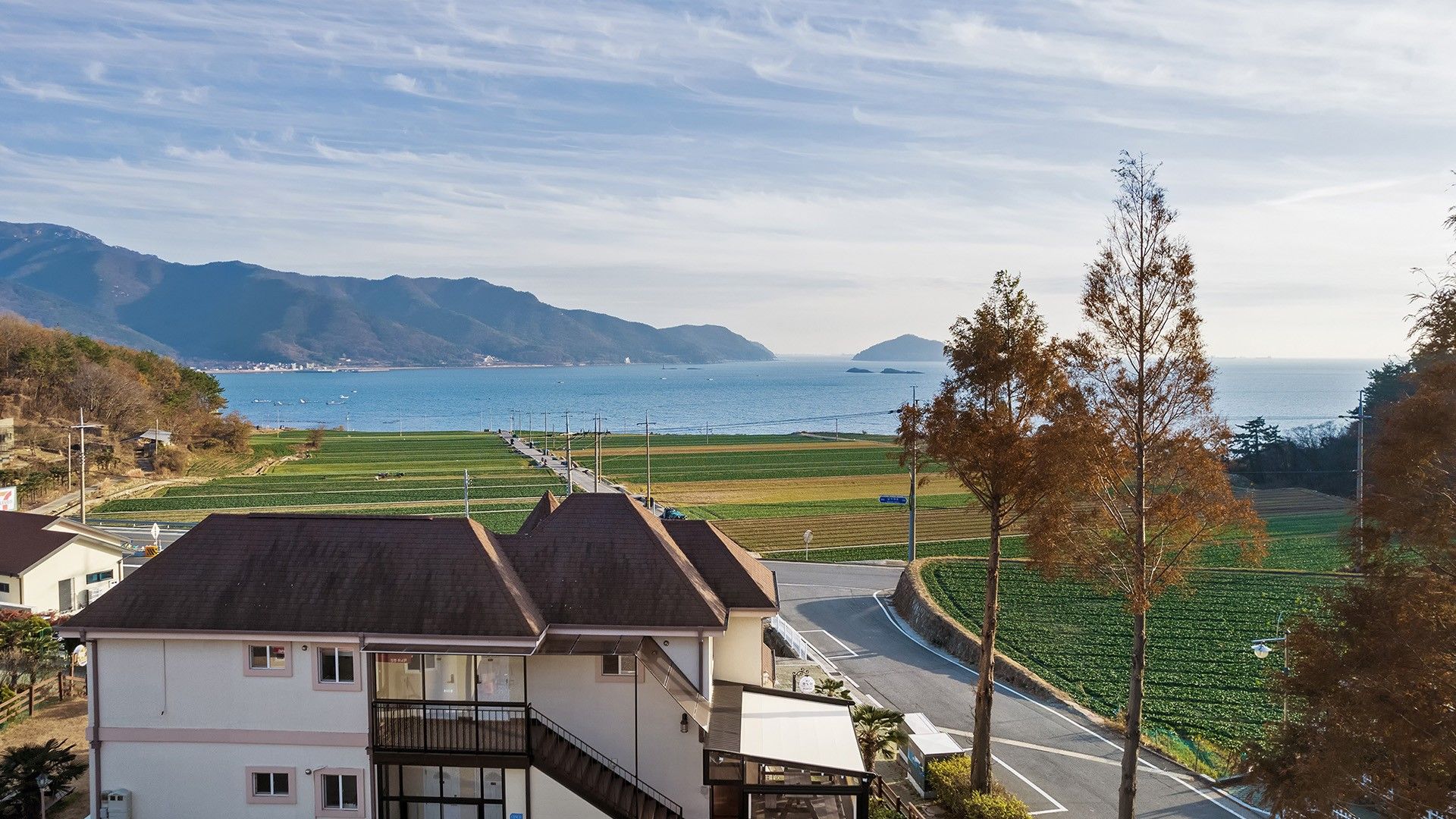 المظهر الخارجي