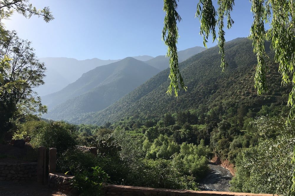 المظهر الخارجي